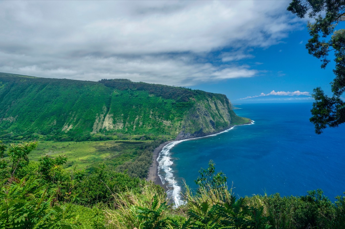 Kohala Coast