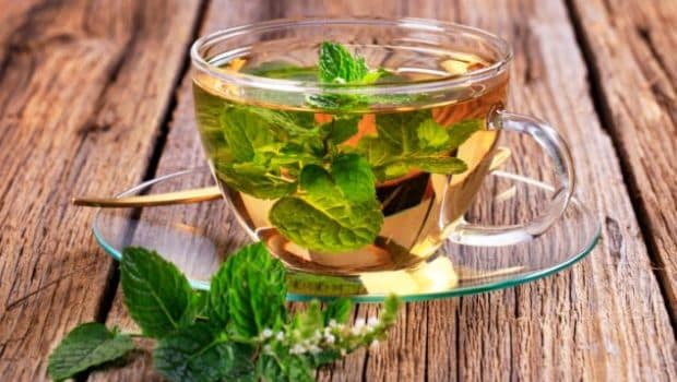 Image result for peppermint tea