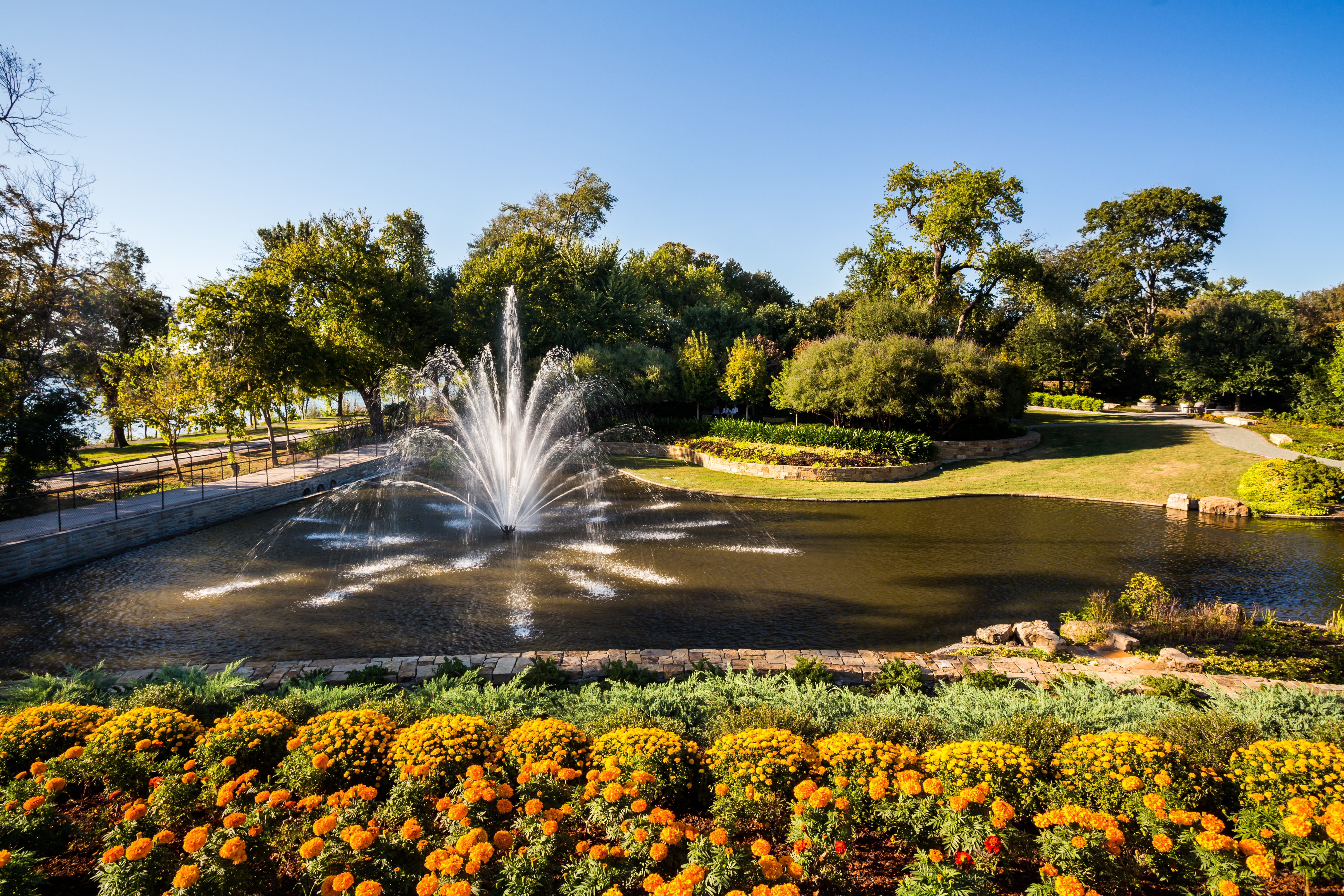 things to do in dallas - dallas arboretum