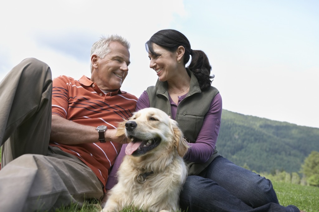 adopt a pet dogs are great service animals