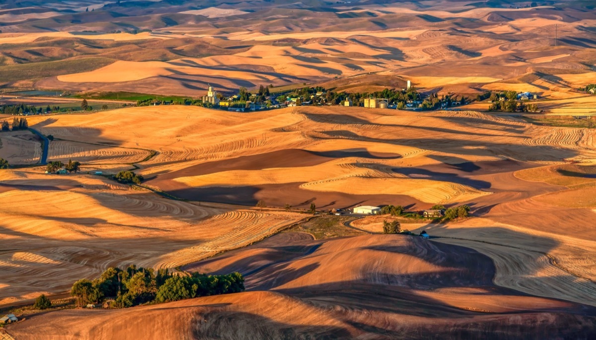 the palouse region in washington