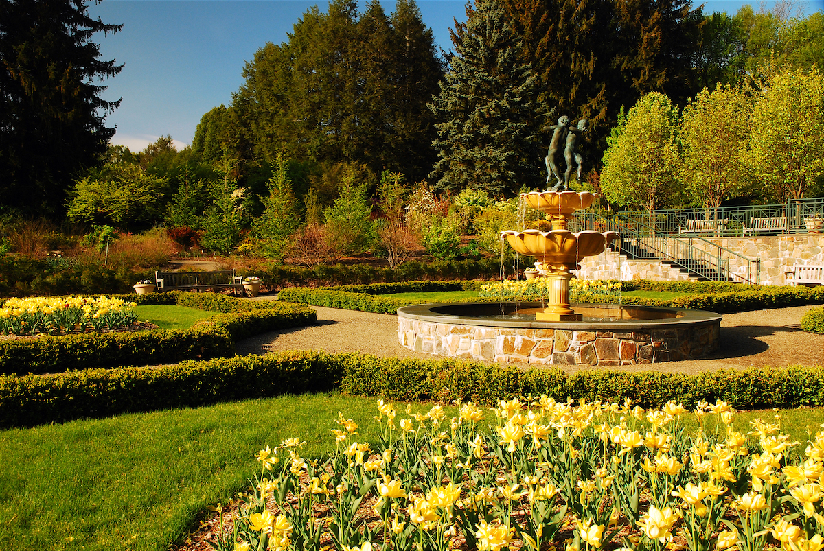 Tulips surround a small water fountain at the Ladson Garden and Arboretum. The Ladson family sold their estate to Westchester County, New York for use as a public garden