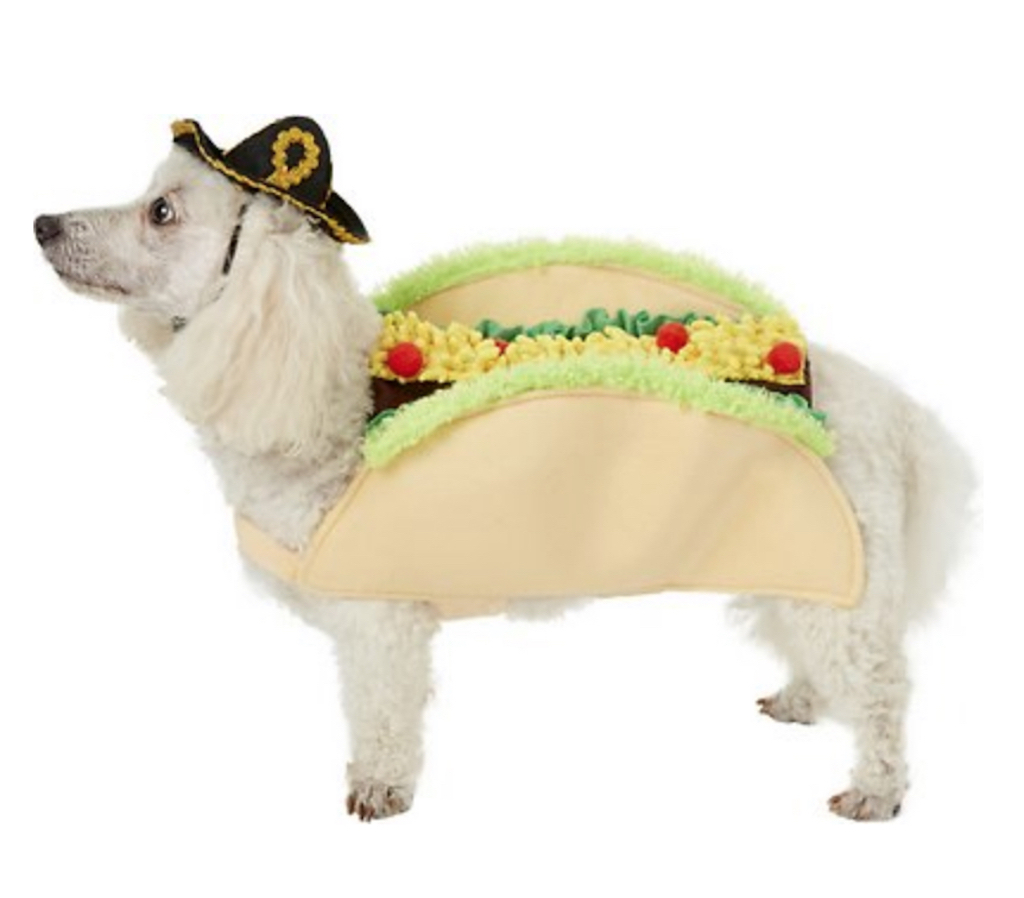 Taco Dog Costume adorable dog outfits