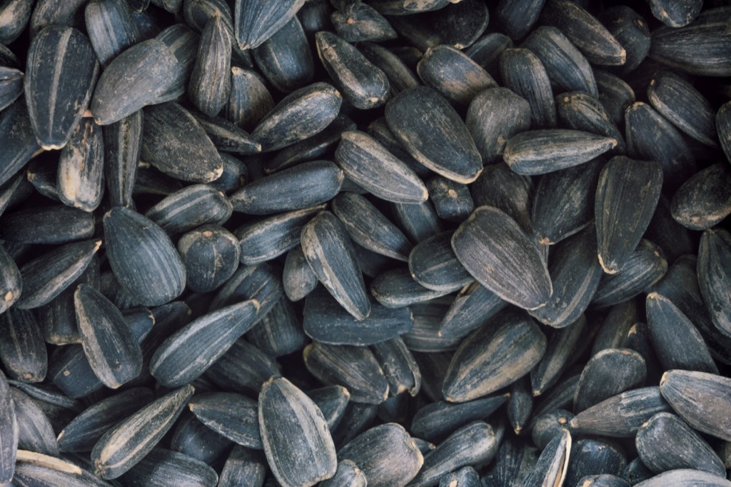 sunflower seeds, best brain foods