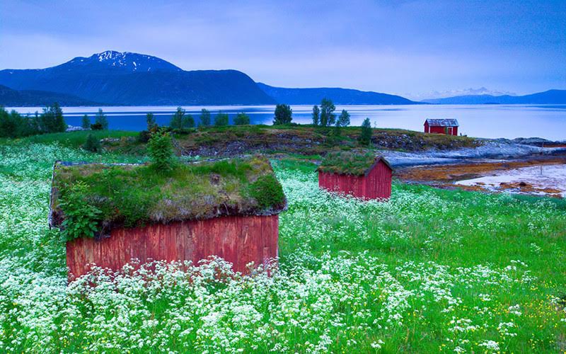 amazing-fairytale-grass-roofs-of-scandinavia-06