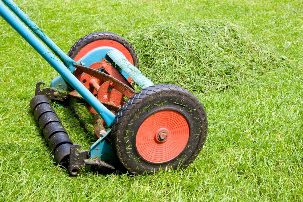 Lawnmower weird american homes