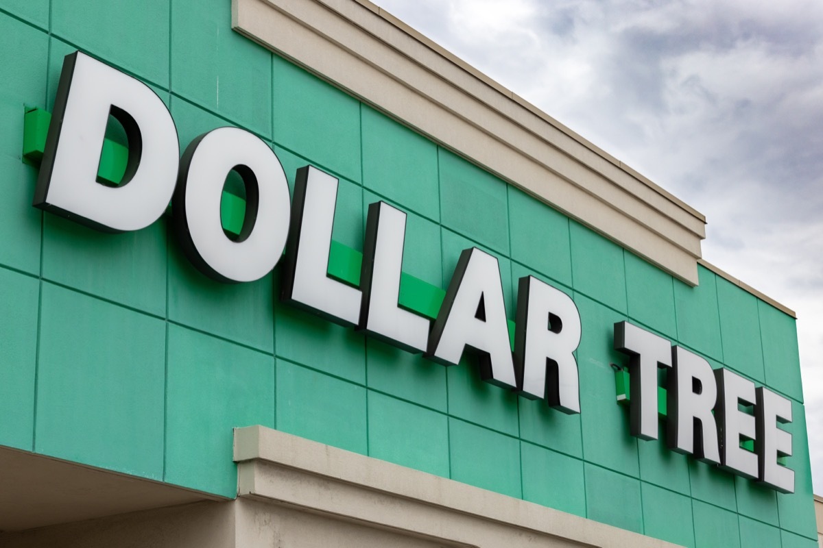 dollar tree store