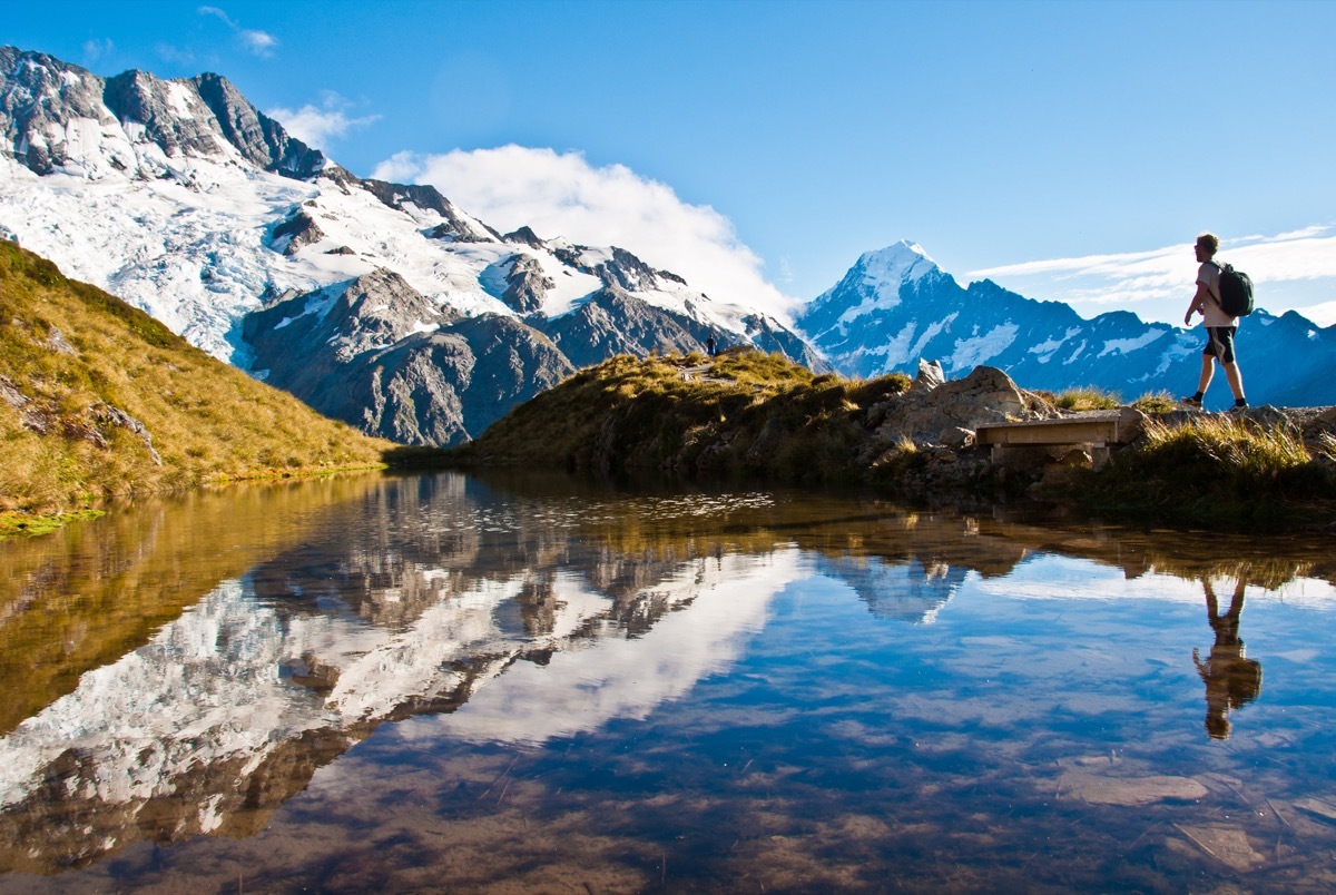 Mt. Cook - Image