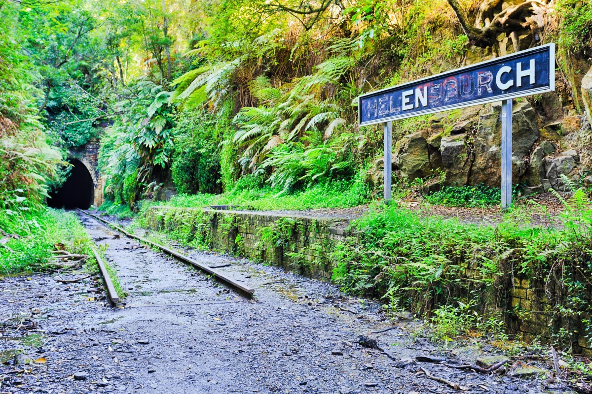 abandoned train track in the forest