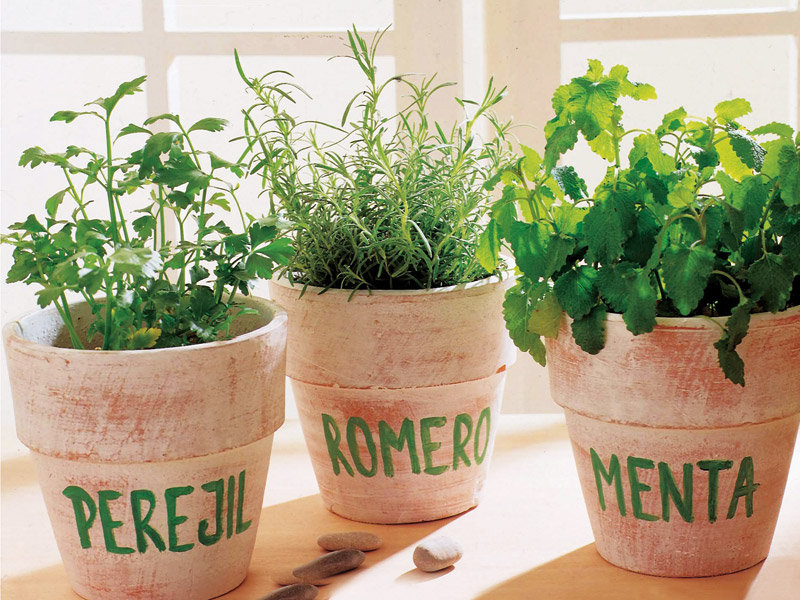 1.Grow herbs and spices