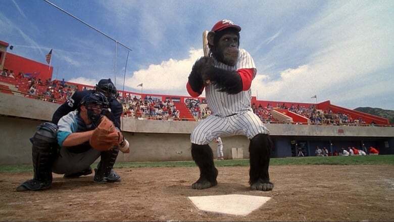 monkey at bat in ed