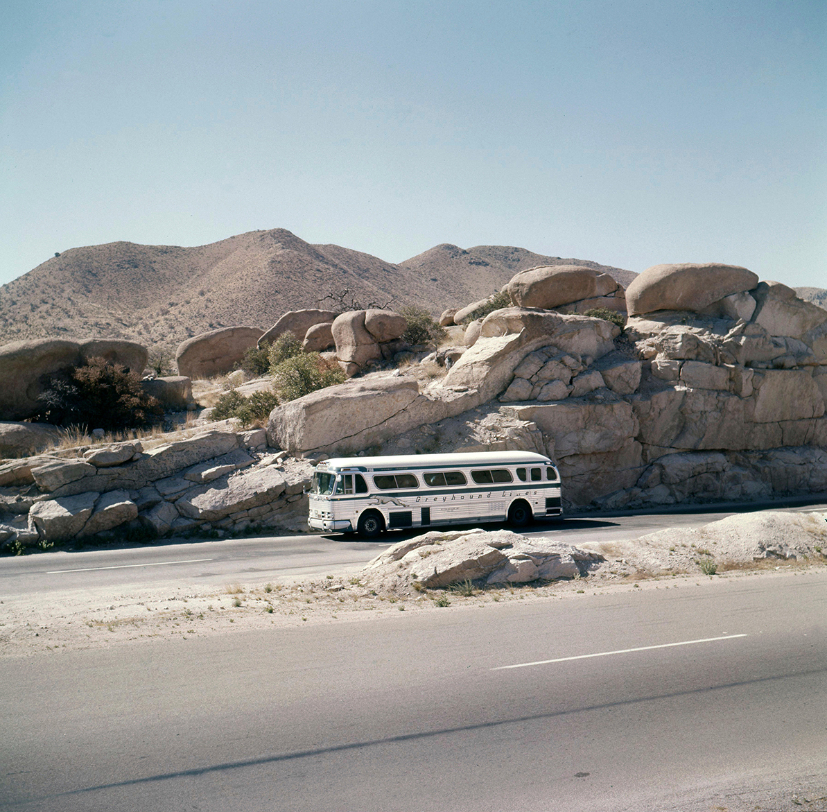 a greyhound bus stops in arizona