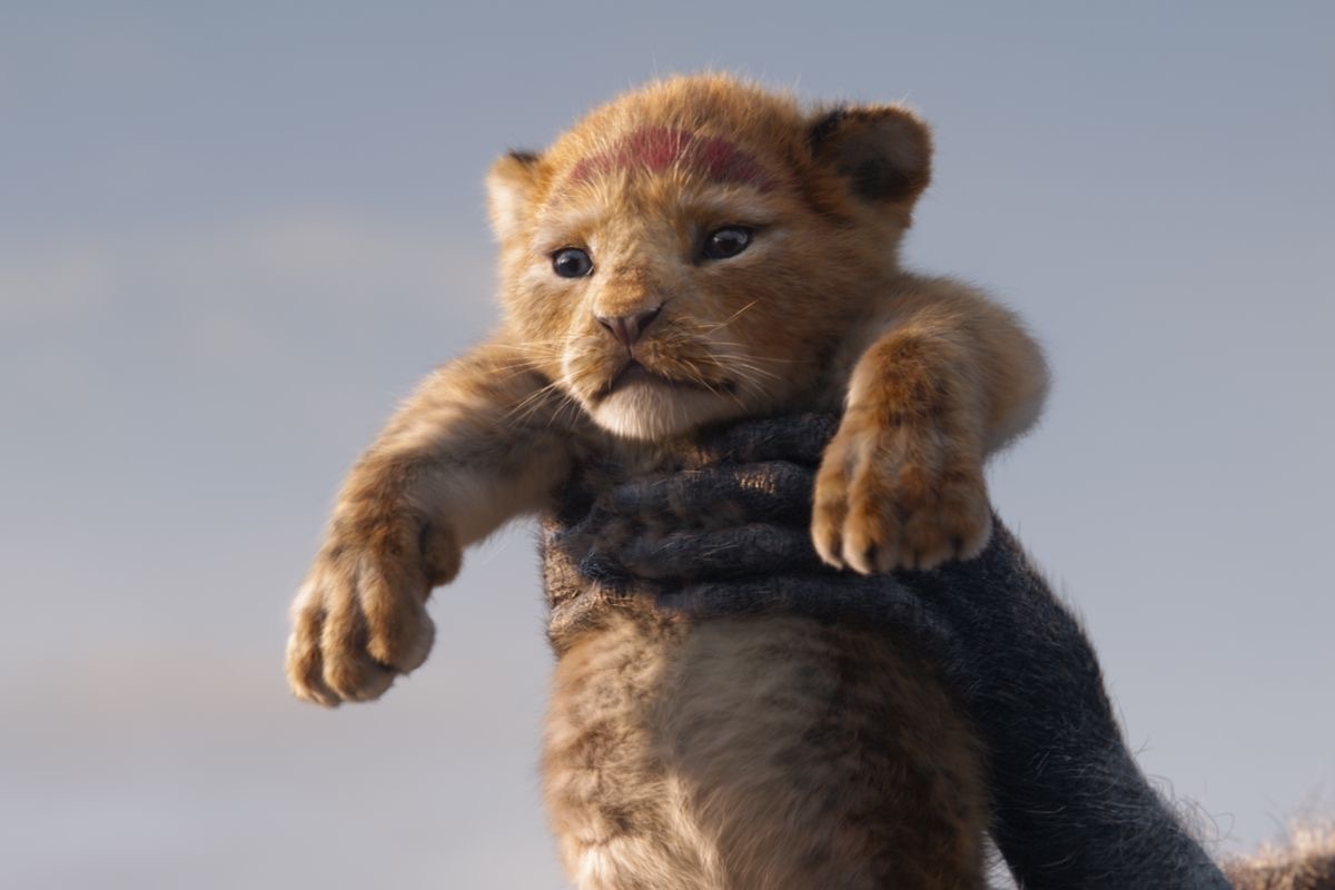 still from the 2019 lion king