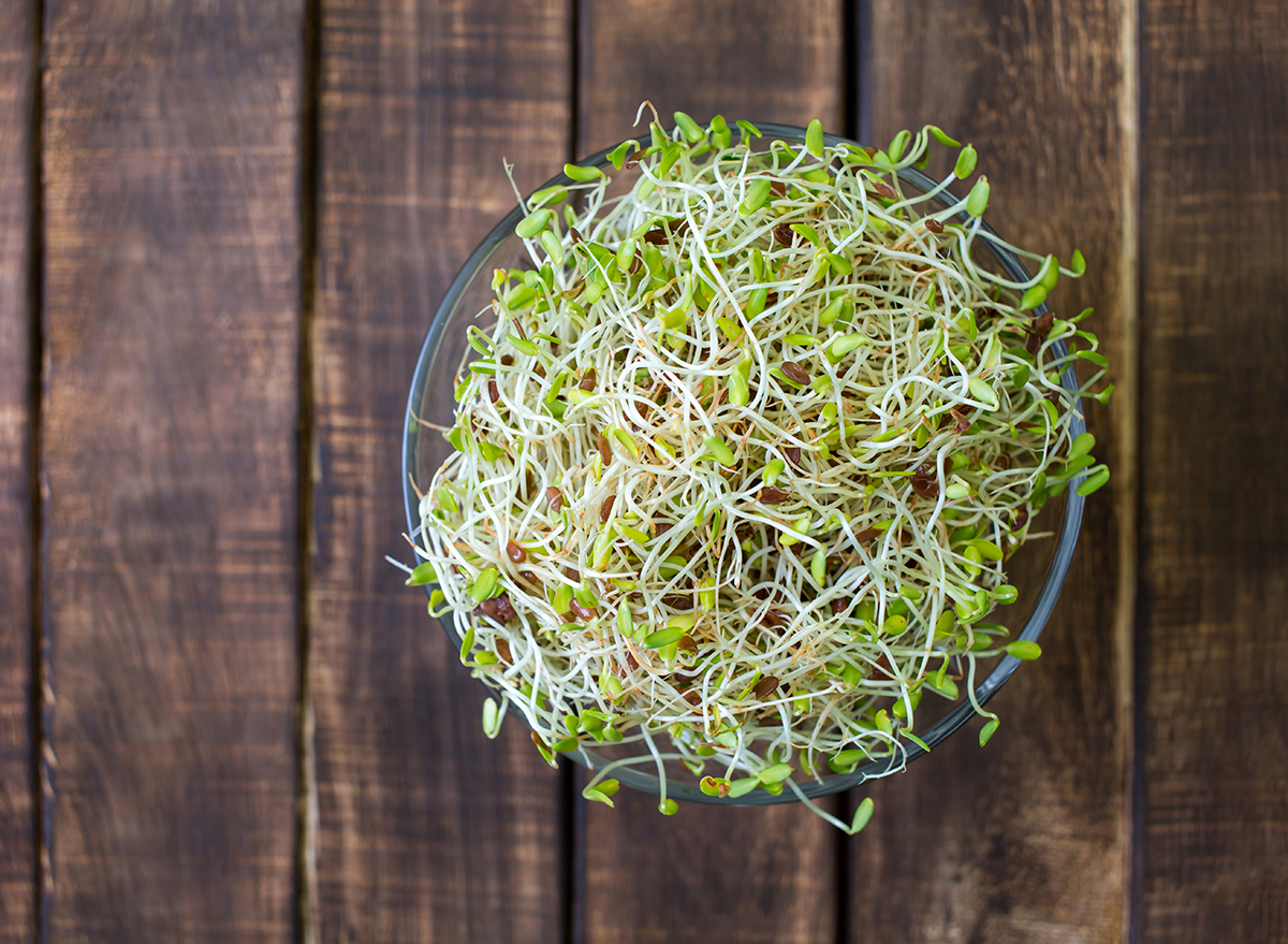 alfalfa-in-bowl