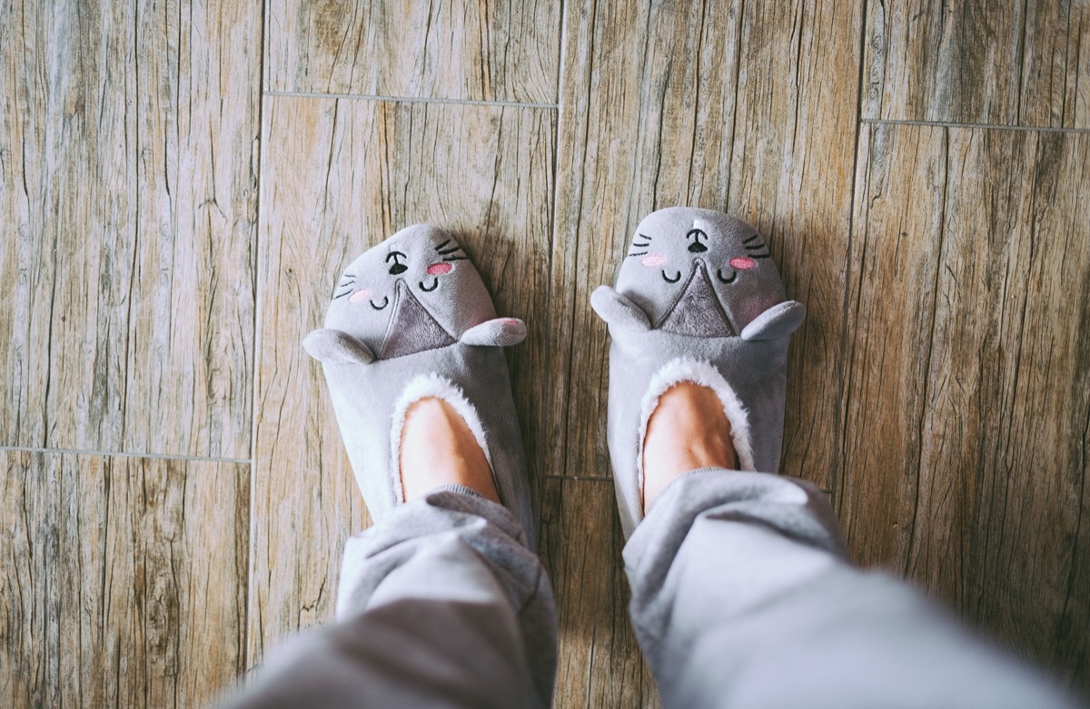 Slippers on women's legs cat face