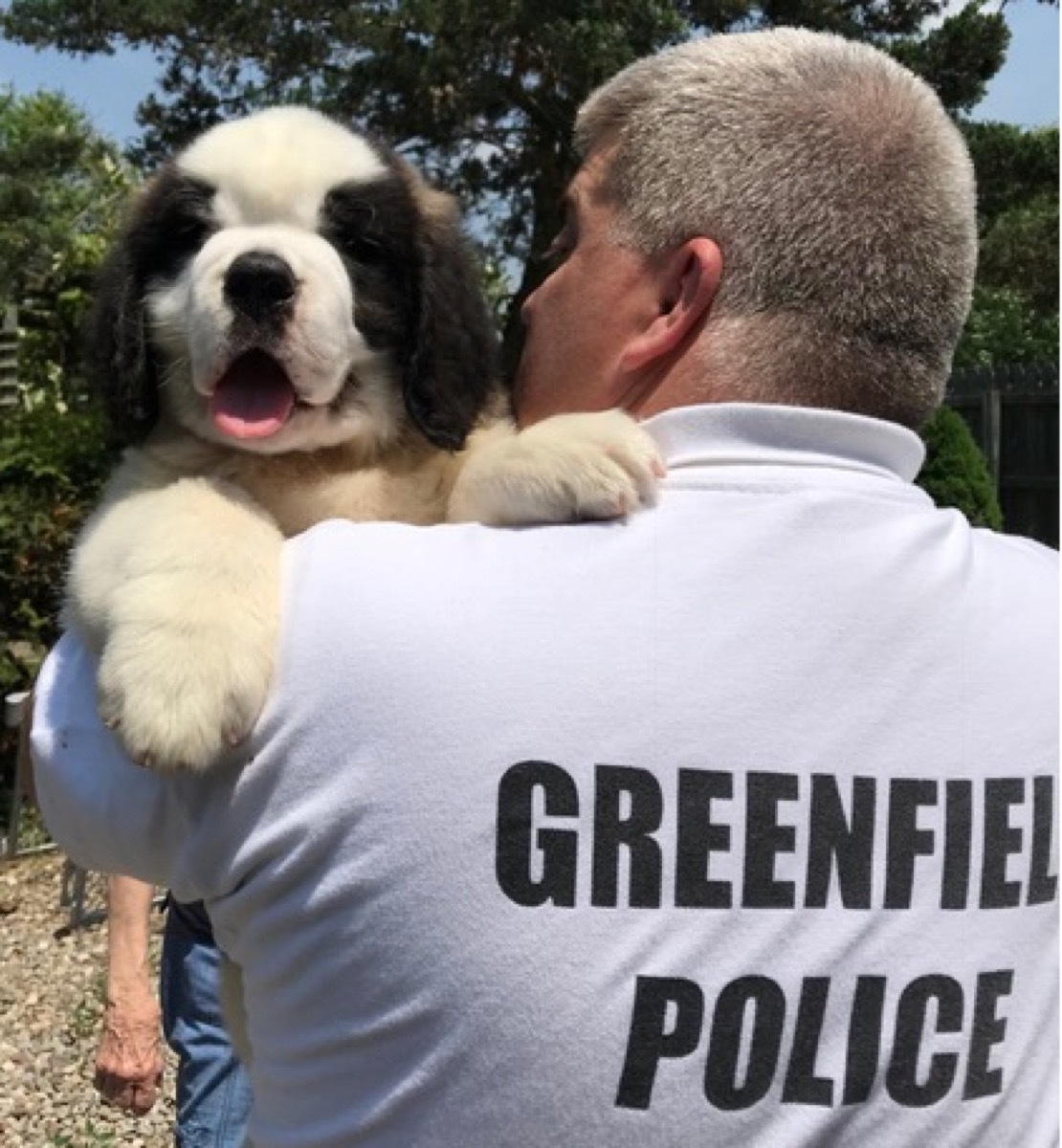 Officer Donut Connecticut adorable police animals