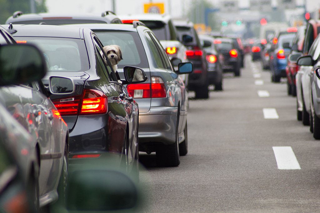 Cars Stuck in Traffic