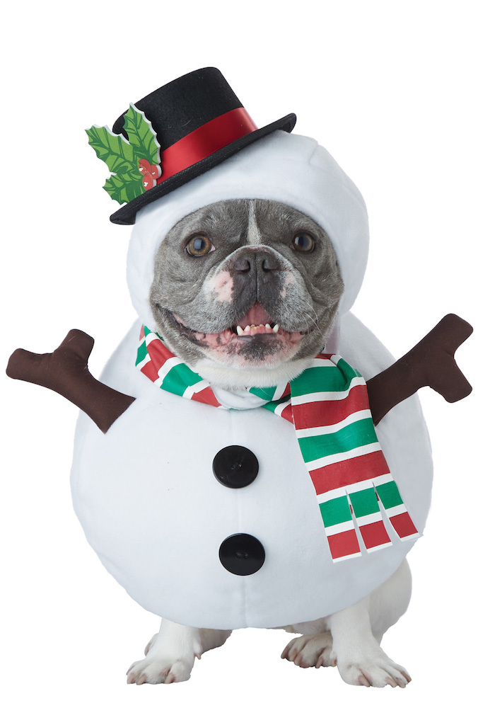 Winter Snowman Dog Costume adorable dog outfits