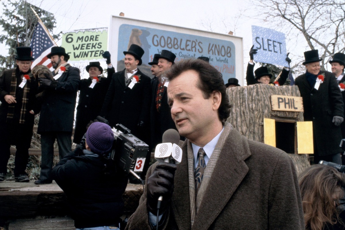 bill murray in groundhog day