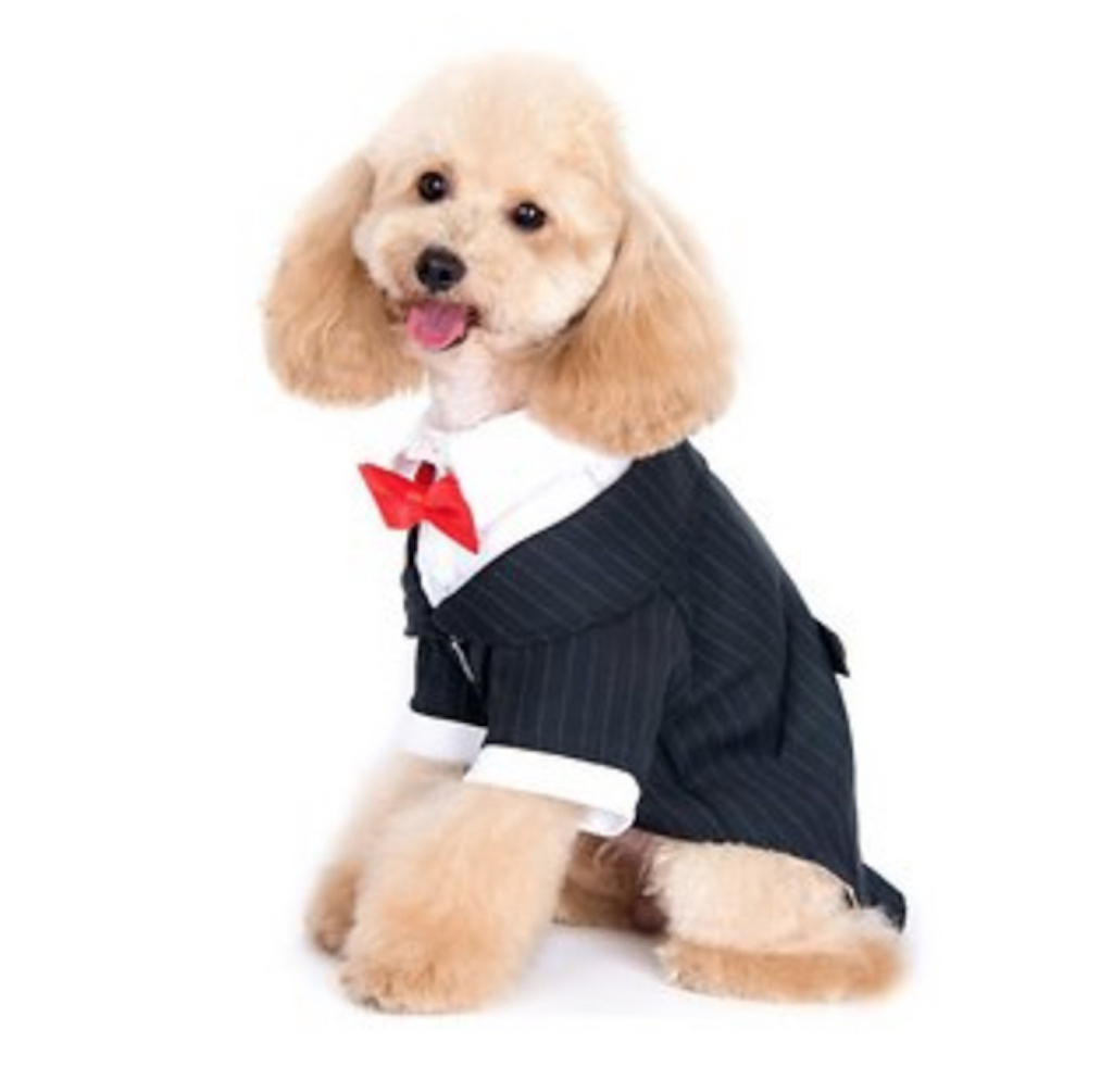 Alfie pet tuxedo adorable dog outfits