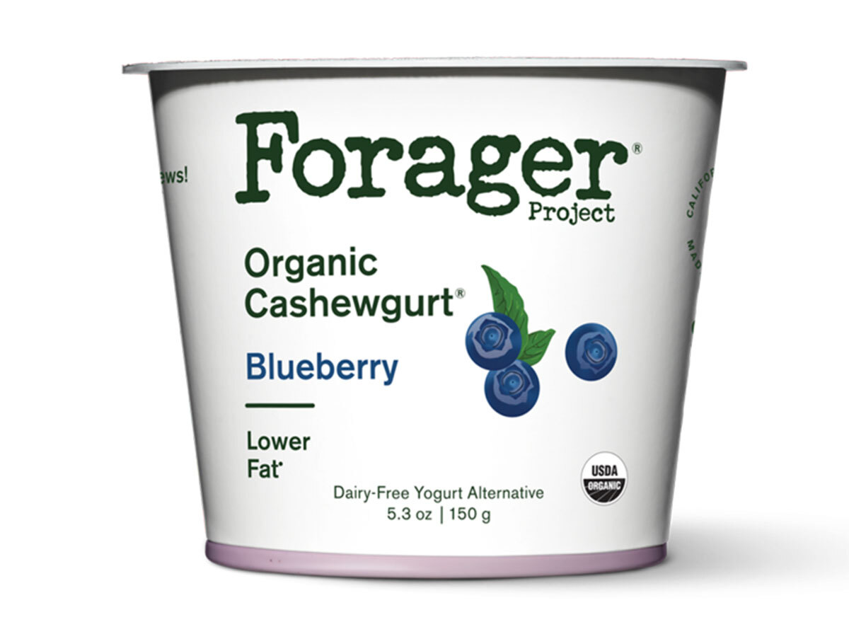 Forager organic blueberry cashewgurt