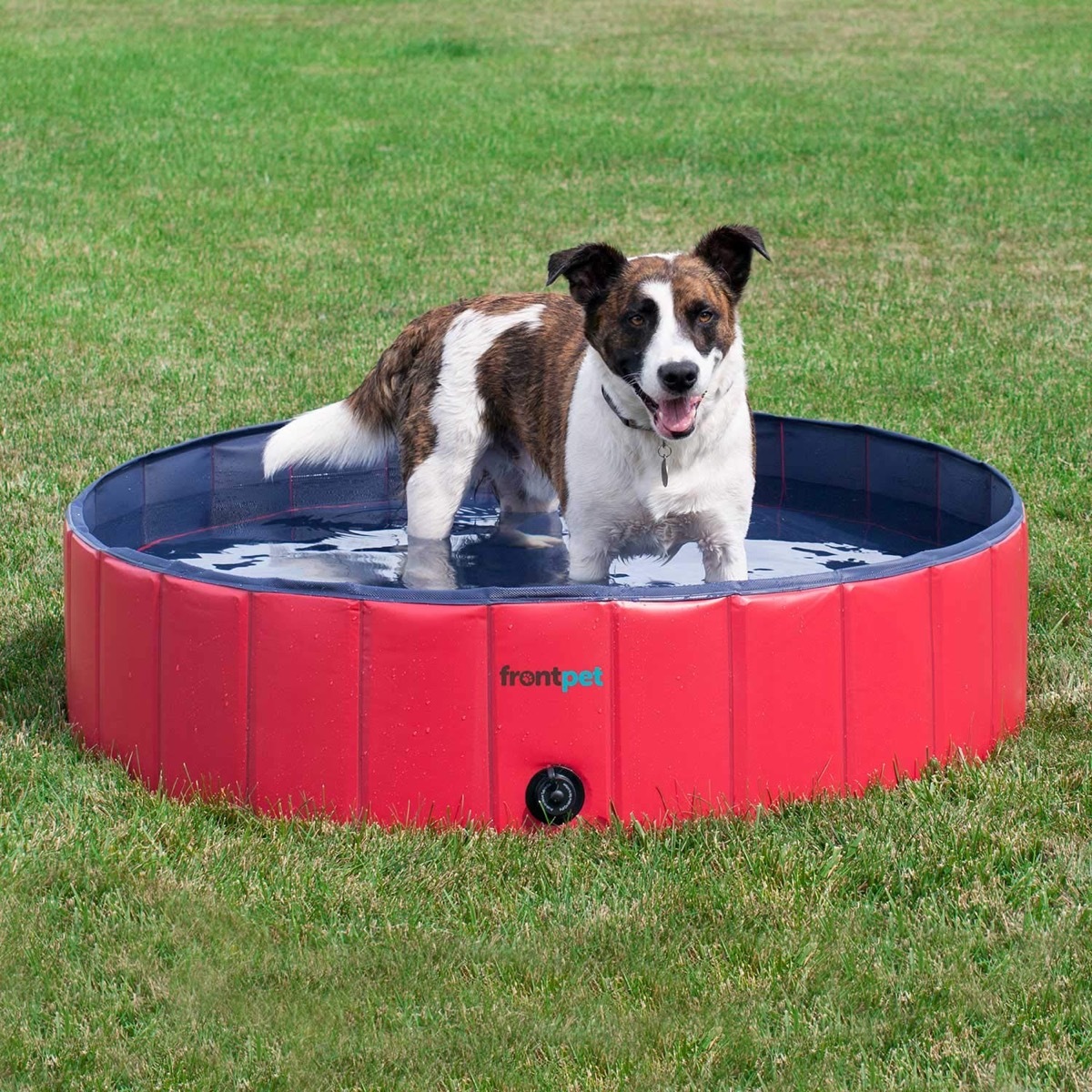 Pet Pool Summer Pet Accessories