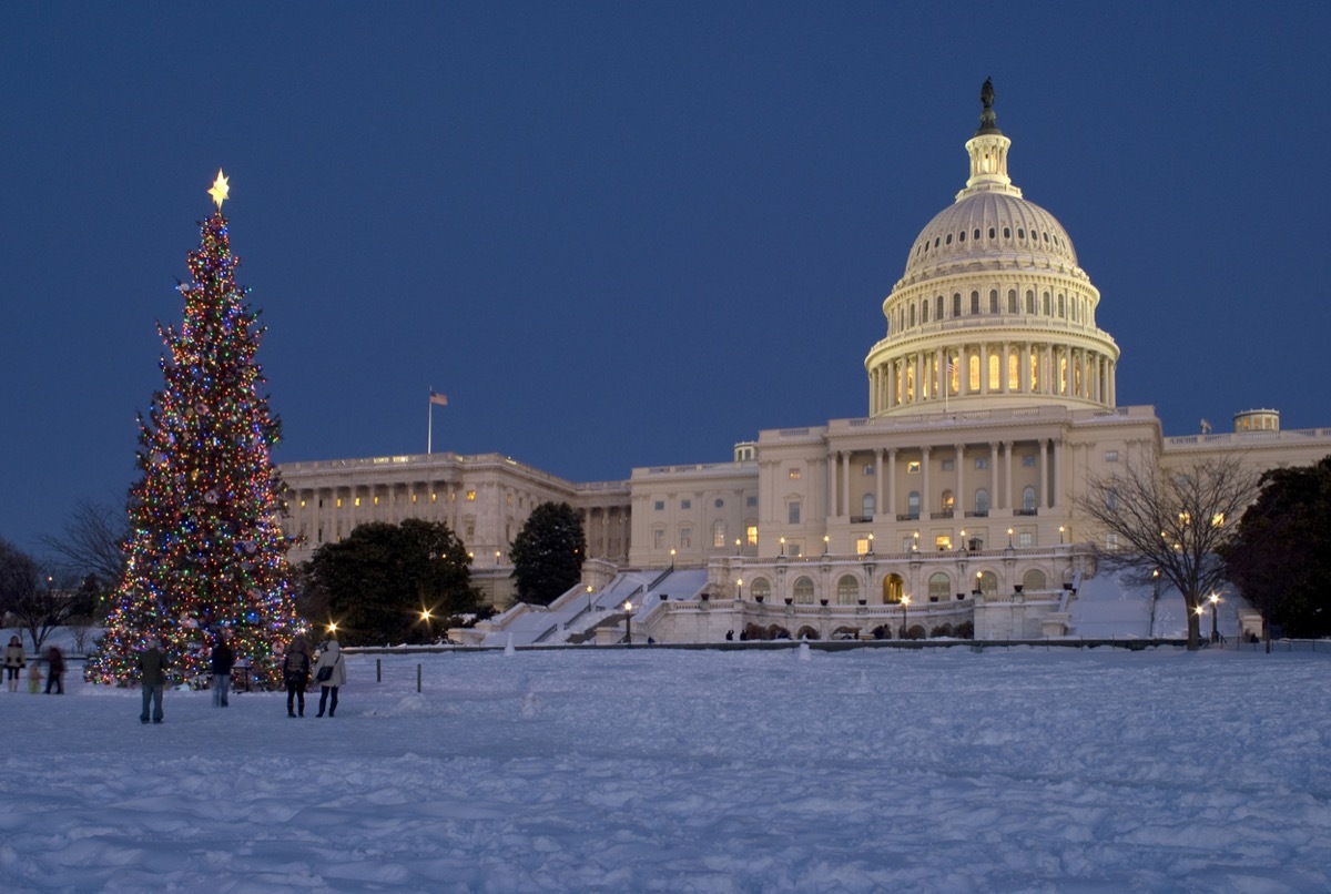 Capitol Christmas Tree