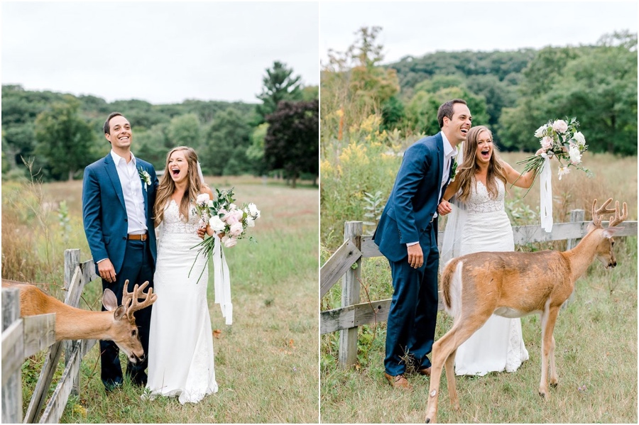 A Wedding Photoshoot To Remember Gets Interrupted By A Deer #2 | Her Beauty