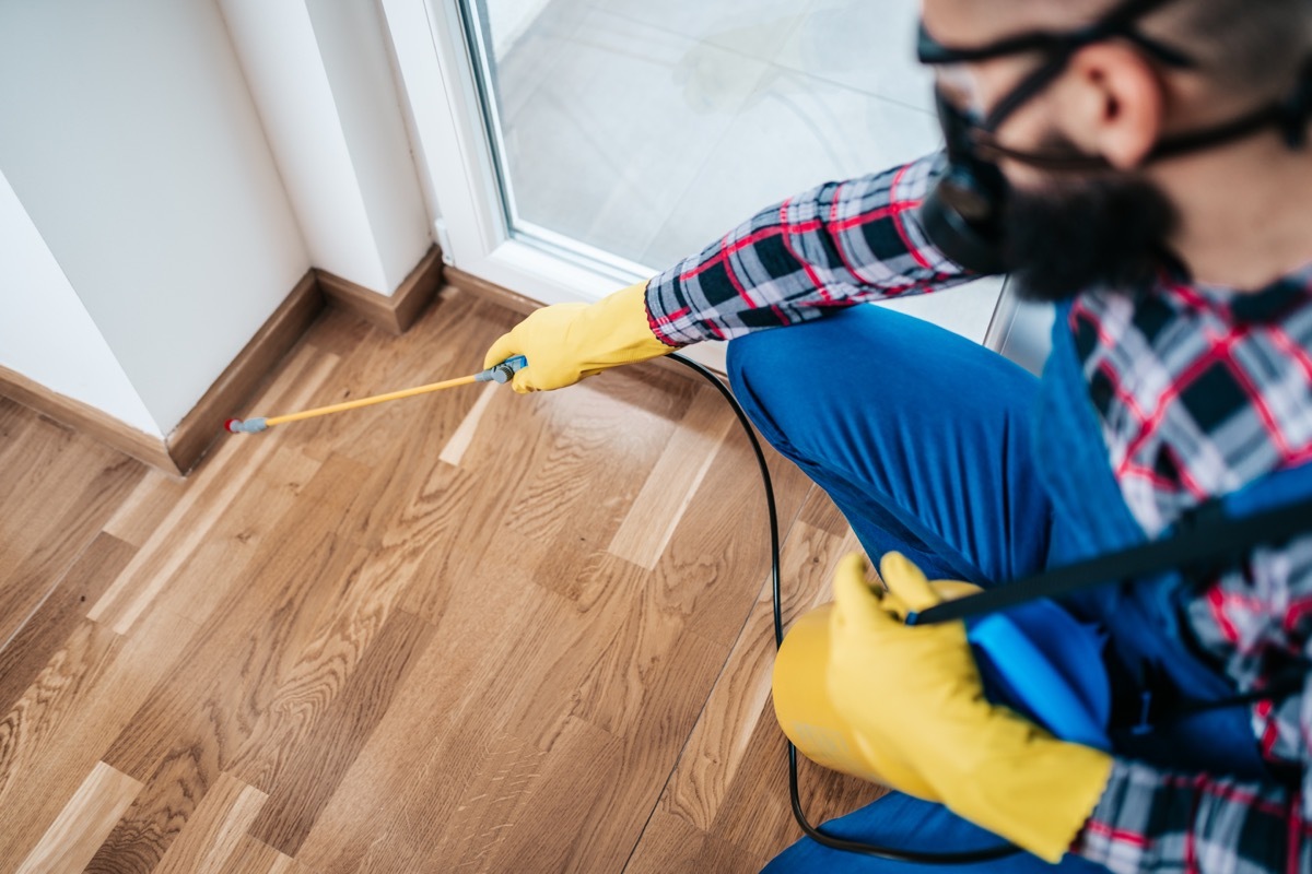 Professional exterminator in protective workwear spraying pesticide in apartment kitchen.