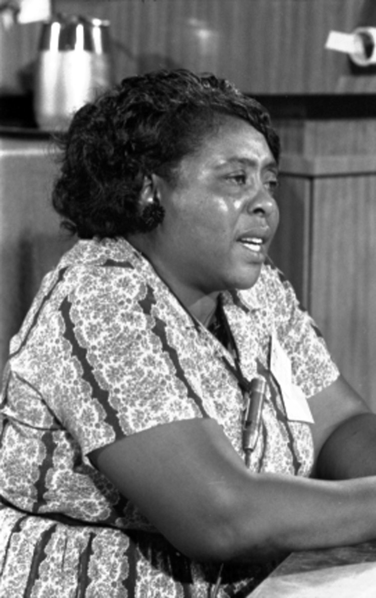 fannie lou hamer photo, hidden civil rights figure