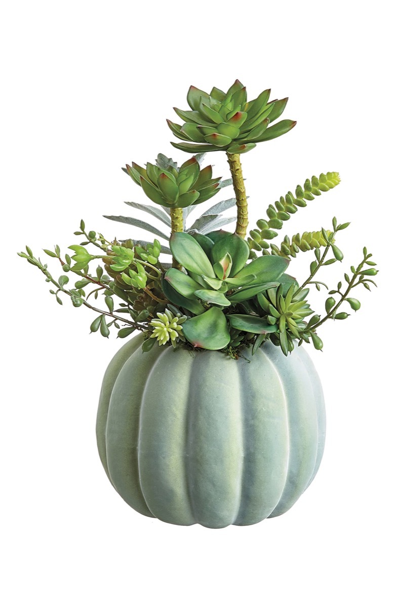 pumpkin statue with succulents, fall home decor