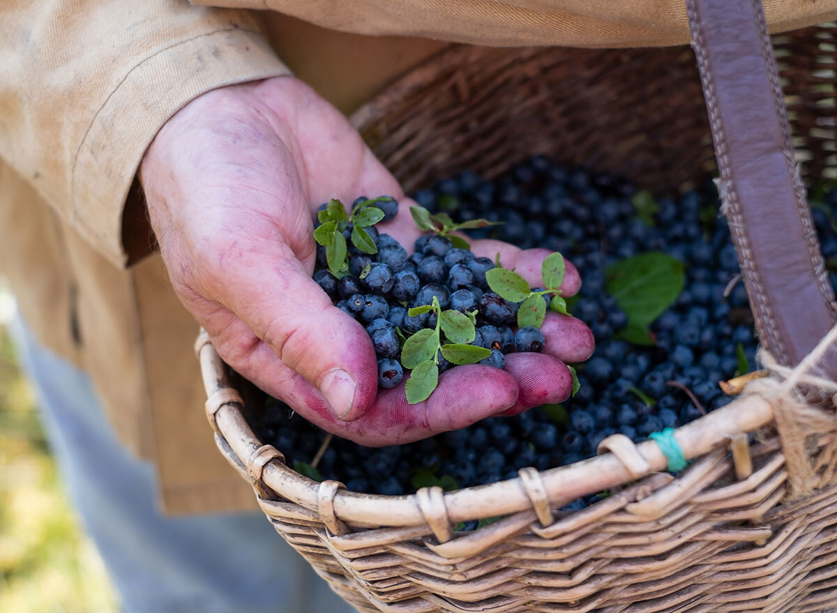 fresh picked blueberries