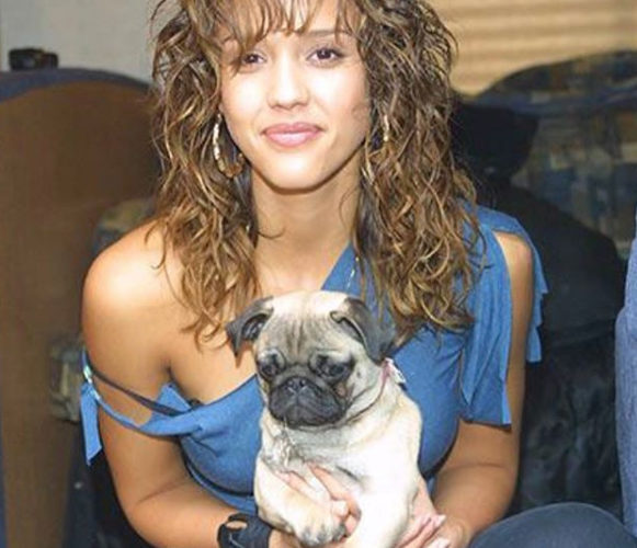 Jessica Alba Dog Sid Vicious Celebrity Pets