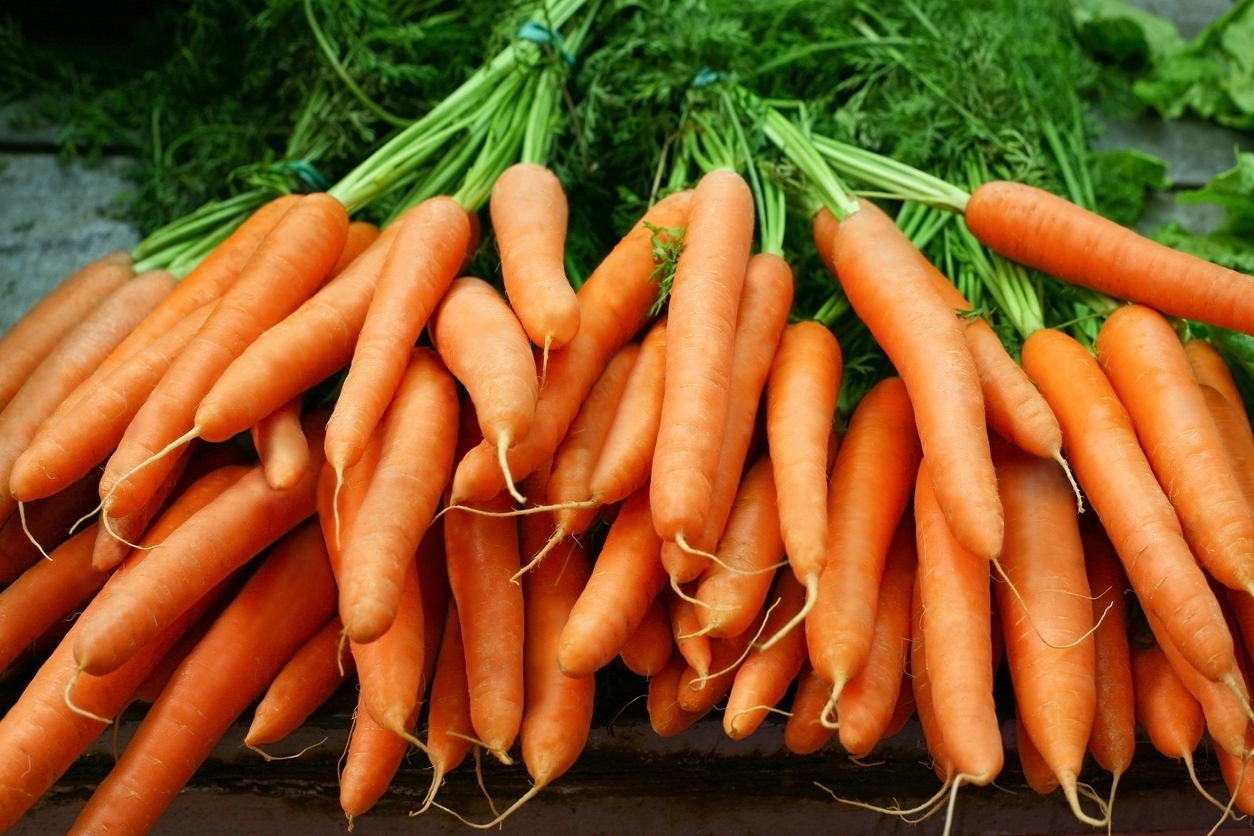 Bunches of organic carrots