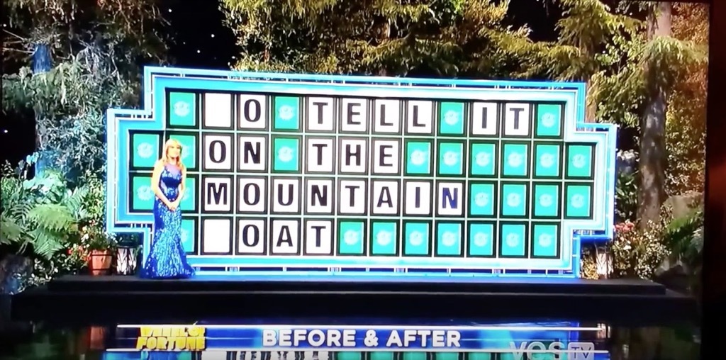 funny wheel of fortune answer