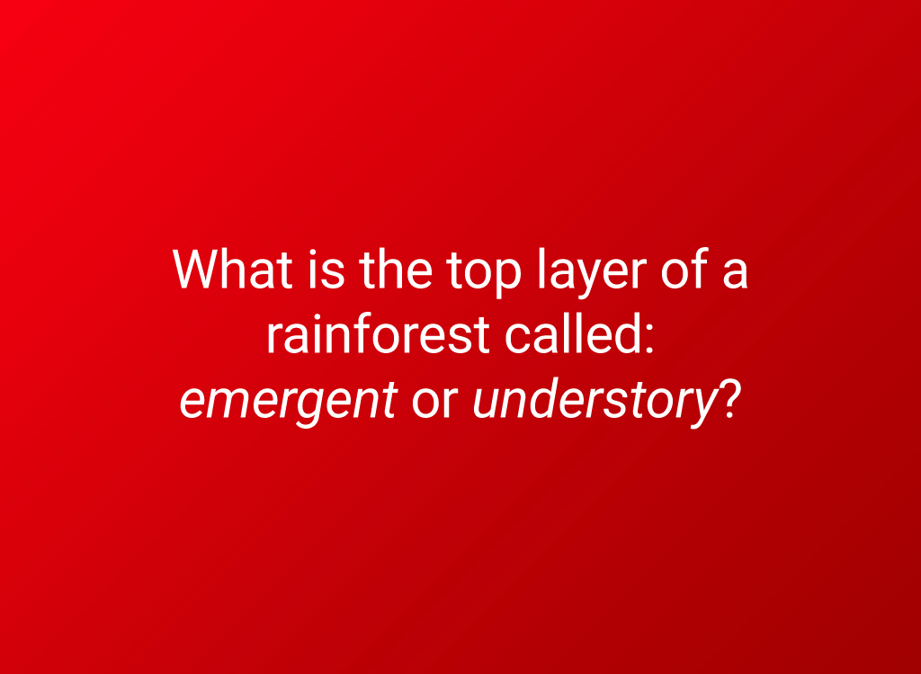 6th grade geography rainforest question