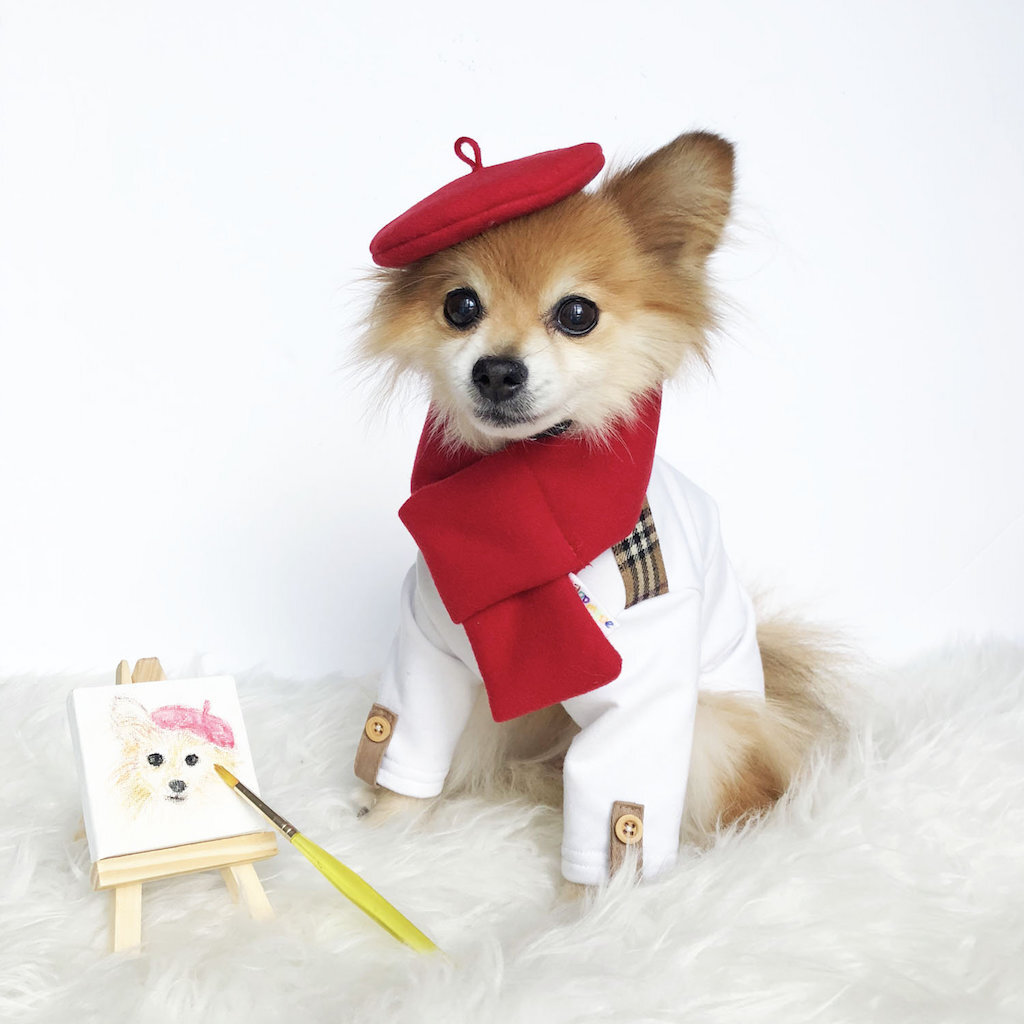 French Artist adorable dog outfits