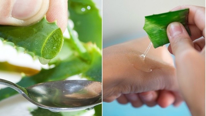 Aloe vera | 15 Natural Remedies Indian Women Use For Flawless Skin | Her Beauty