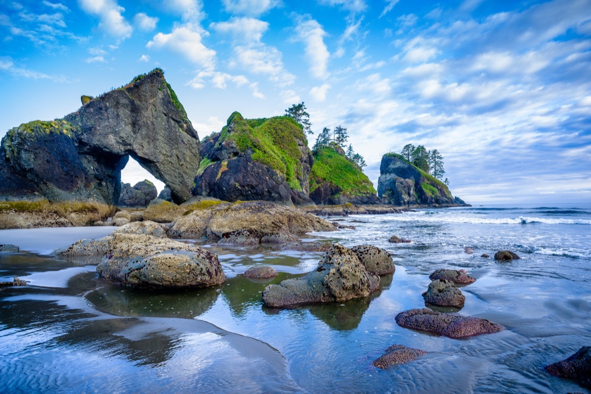 Rugged Beach with rock formations Shi Shi Beach olympic national park