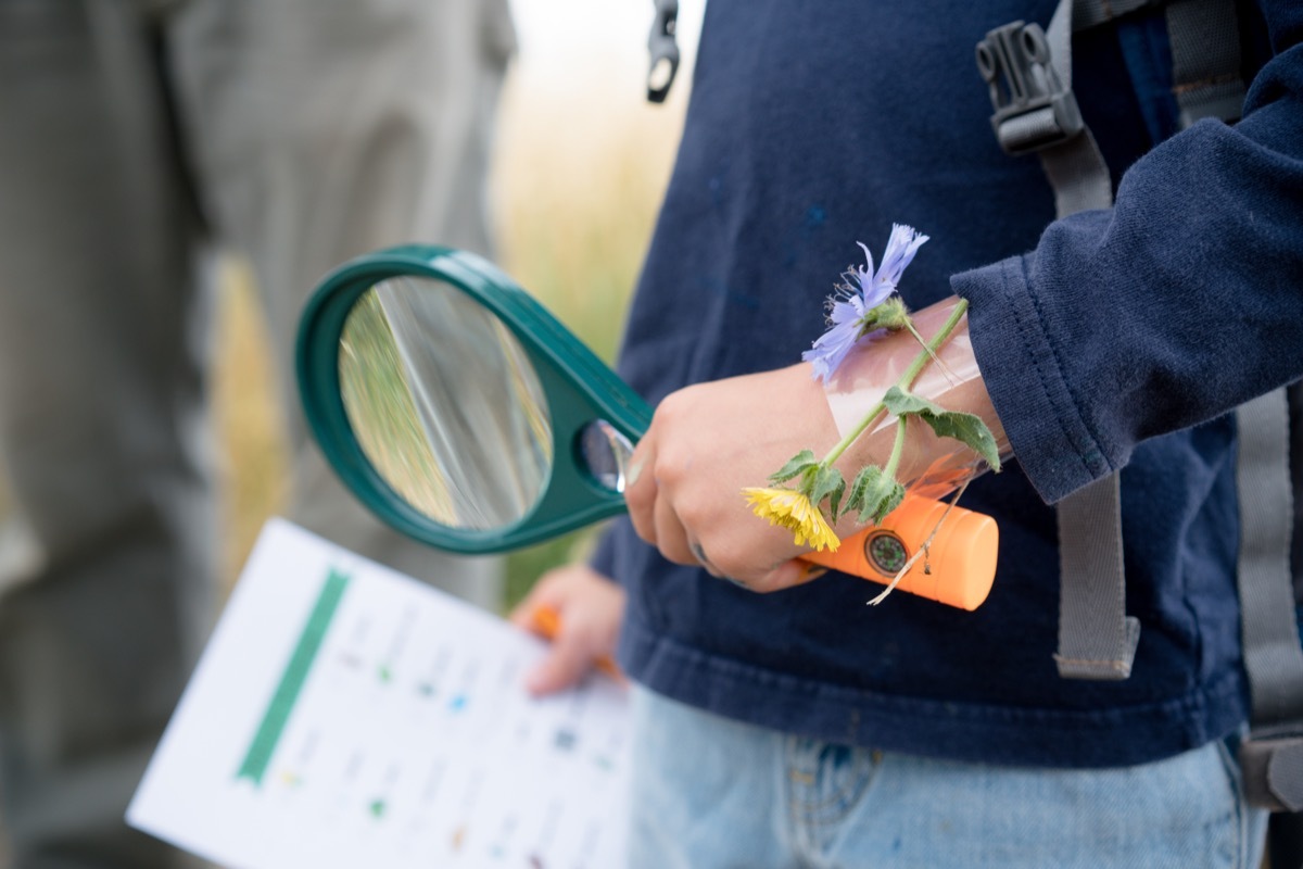 Outdoor Scavenger Hunt