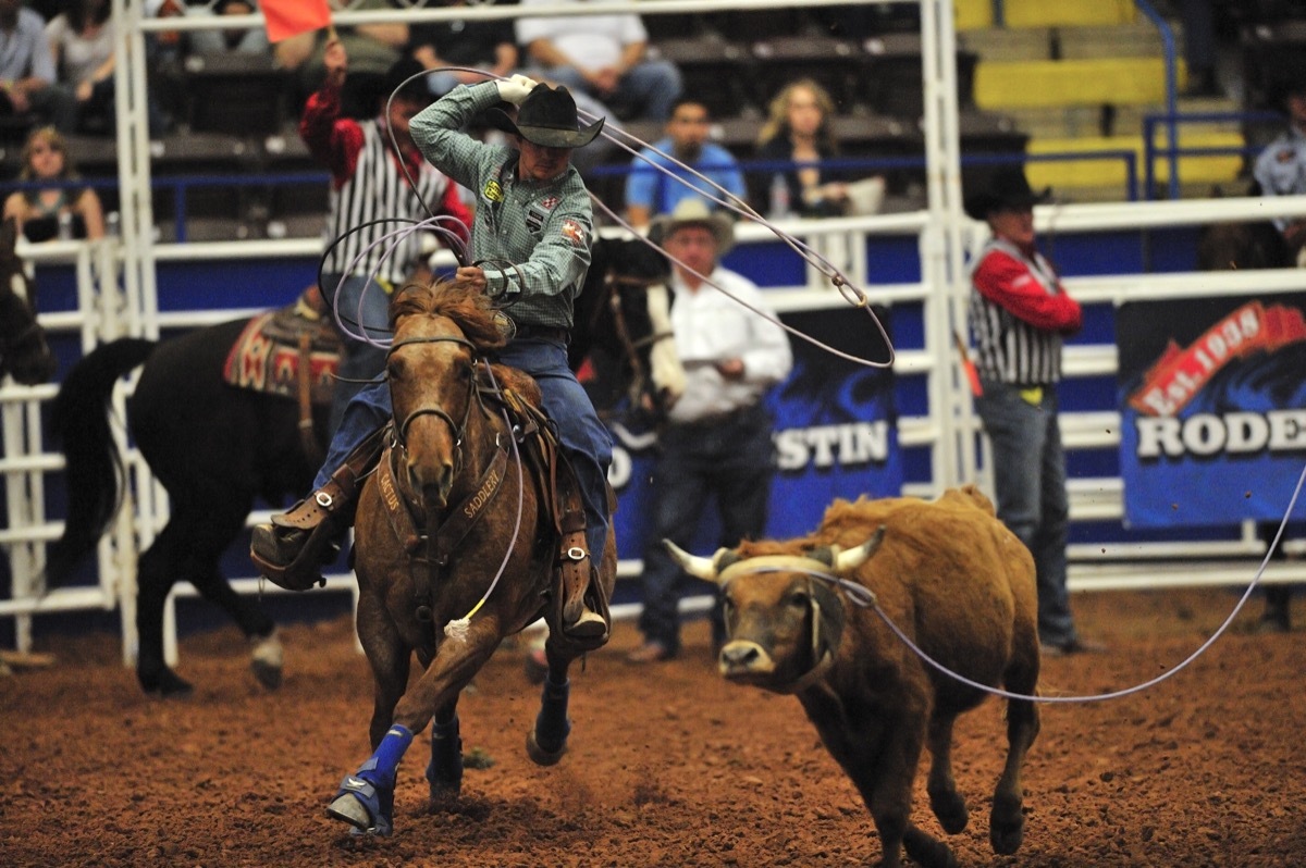 Cowboy riding horse at rodeo