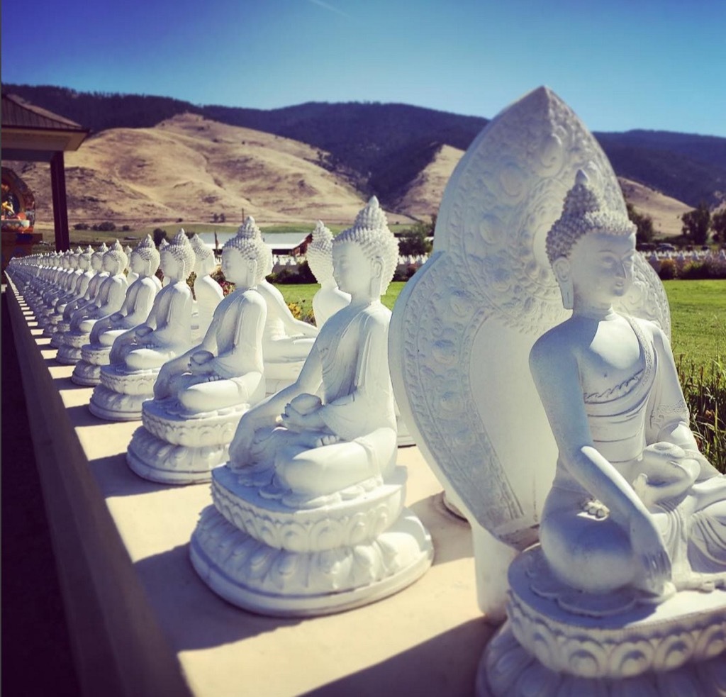 Buddha garden Arlee Montana