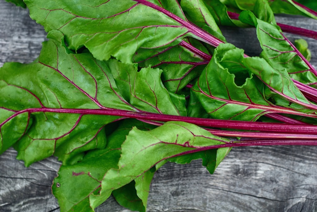 Beet Green tops