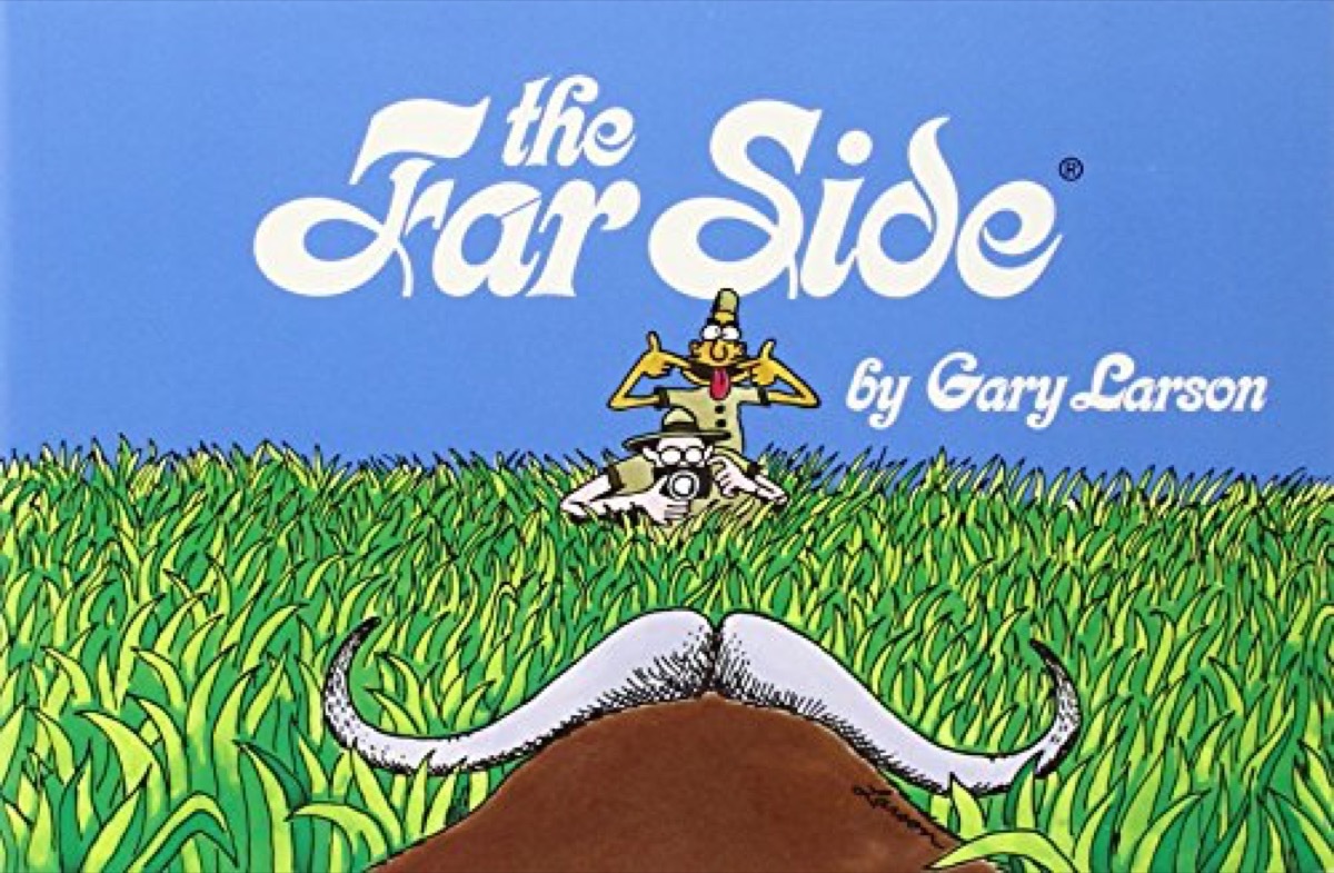 far side book cover gary larson