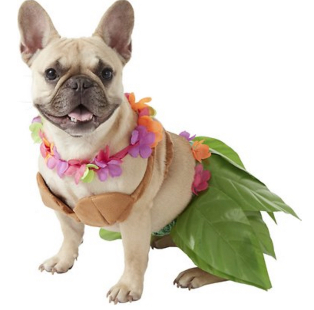 Hula Girl Dog Costume adorable dog outfits