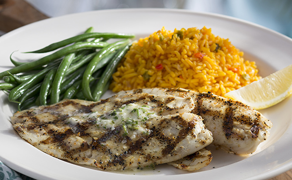 bahama breeze tilapia