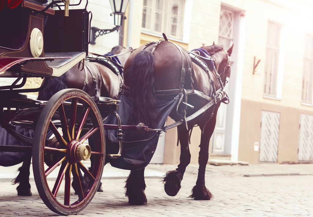 Horse Drawn Carriage Harry and Meghan's Wedding Traditions Royal Brides