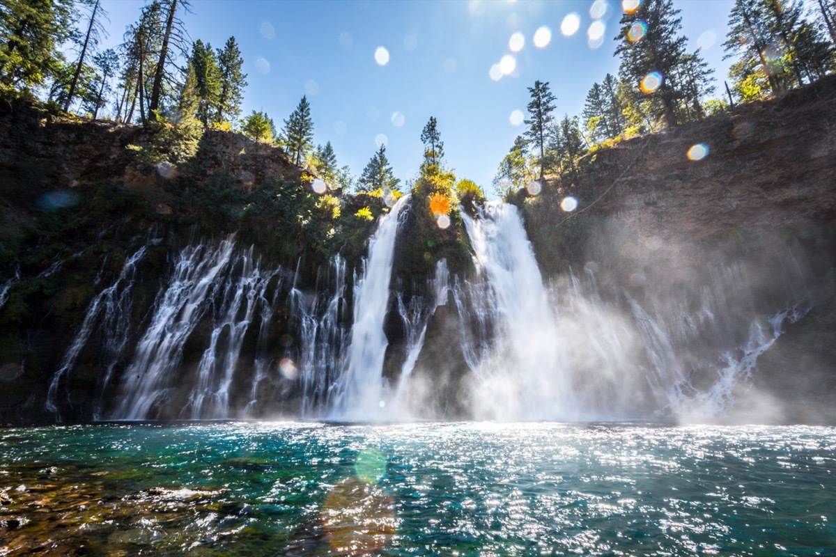 shasta-trinity national forest