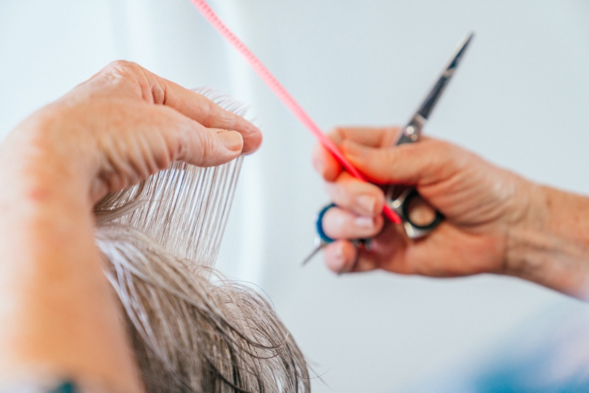 Close-Up Shot of a Professional Hair Stylist's Hands Cutting gray hair