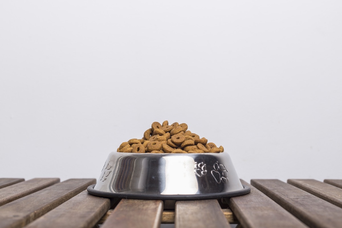 silver bowl filled with dog food on a wooden table and white background viewed from the front